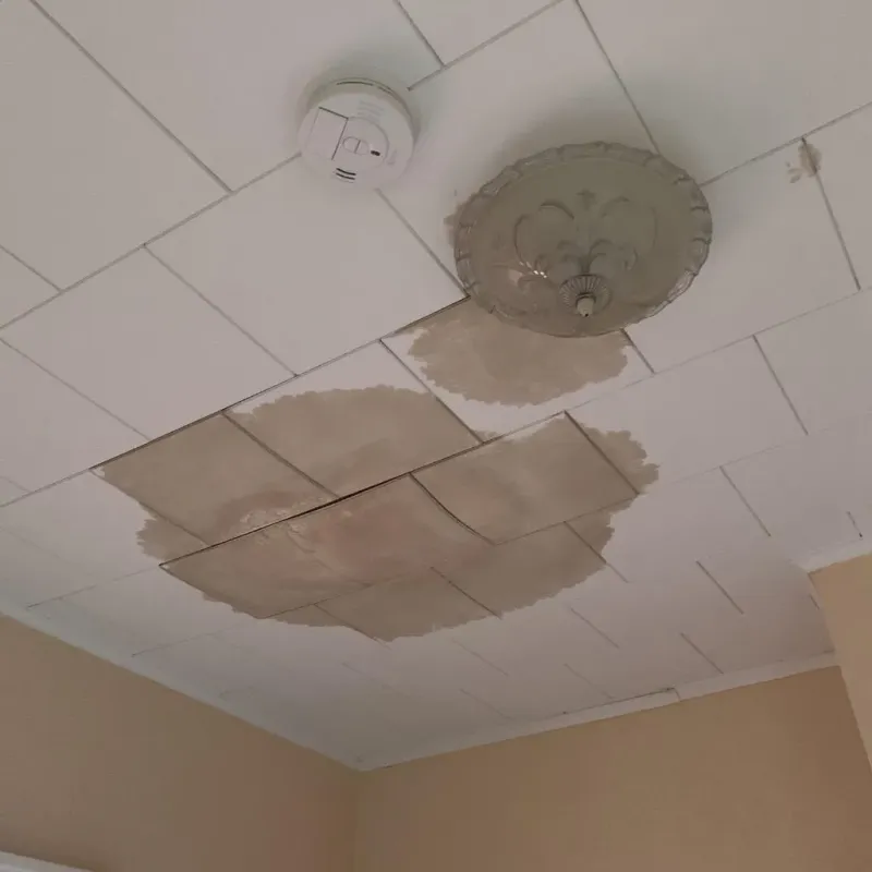Ceiling Water Damage Repair in Leesville, LA