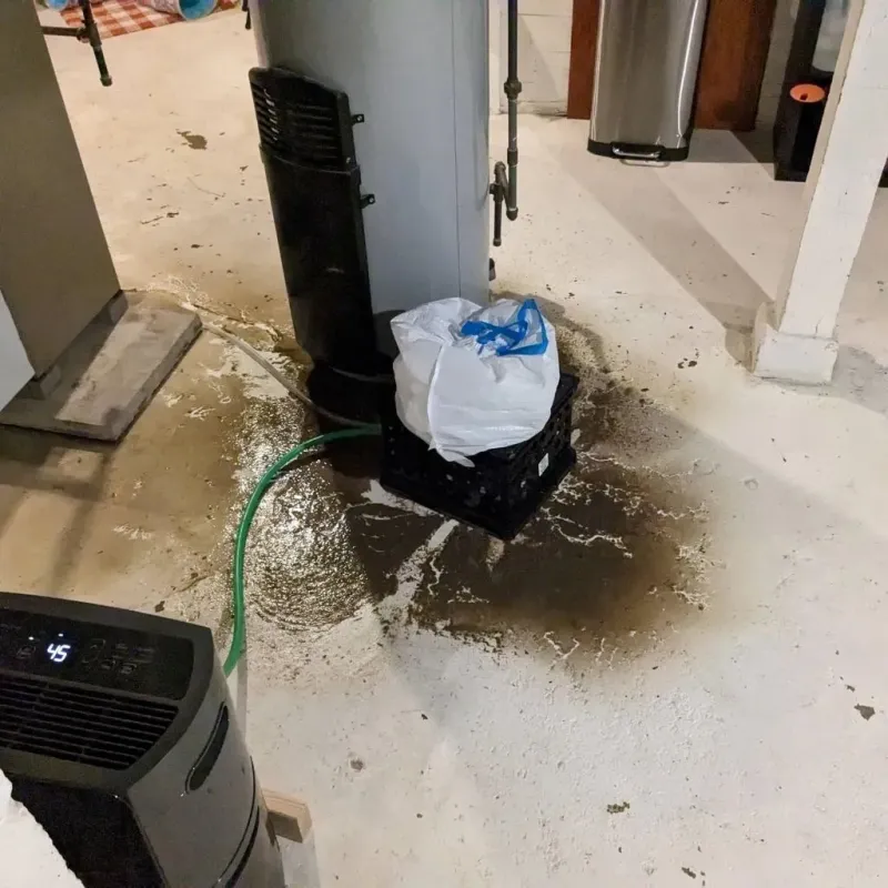Sewage Backup Cleanup Service in Leesville, LA